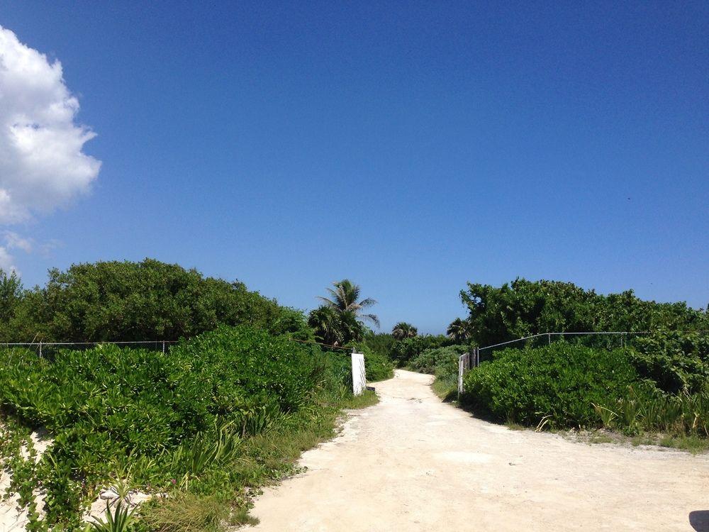 Casa Amor Pto Morelos Puerto Morelos Exterior photo