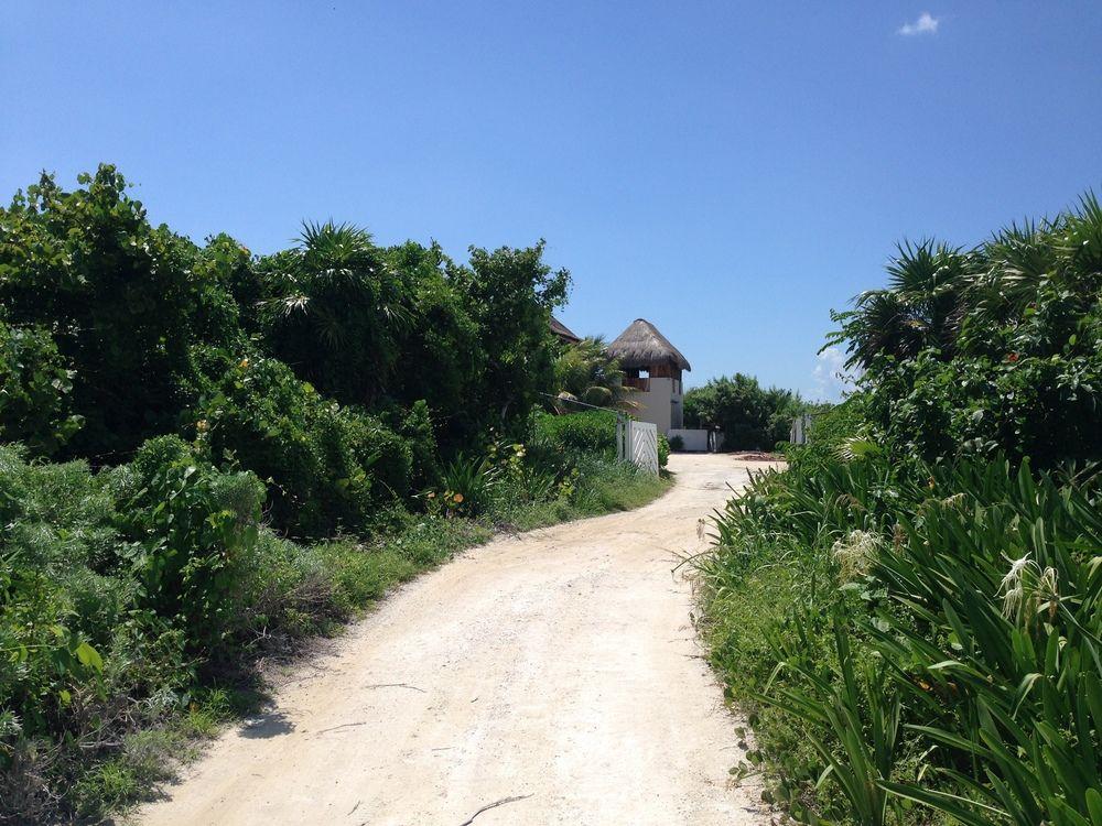 Casa Amor Pto Morelos Puerto Morelos Exterior photo